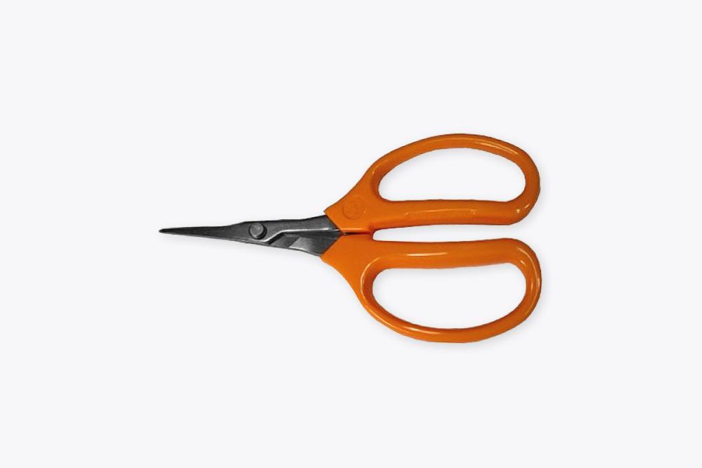 Garden Grape Scissors Gardening