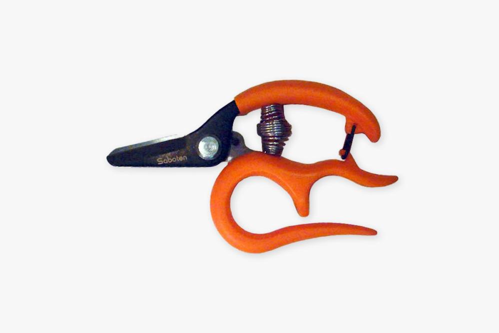 Harvest Scissors 1315 Straight Handle Gardening